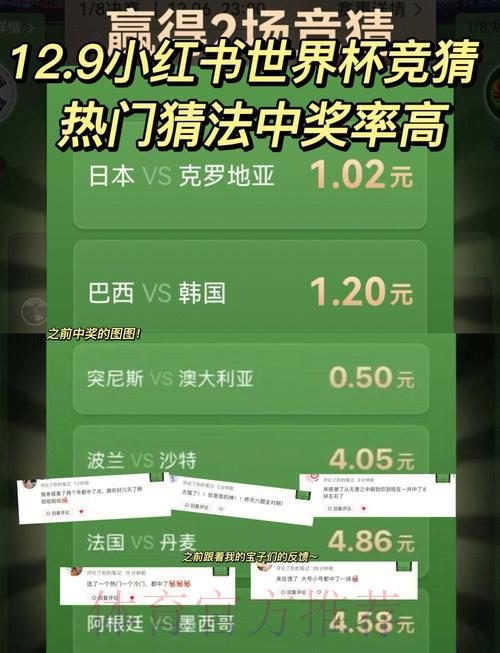 世界杯竞猜平台获利概率分析 世界杯竞猜平台获利概率分析